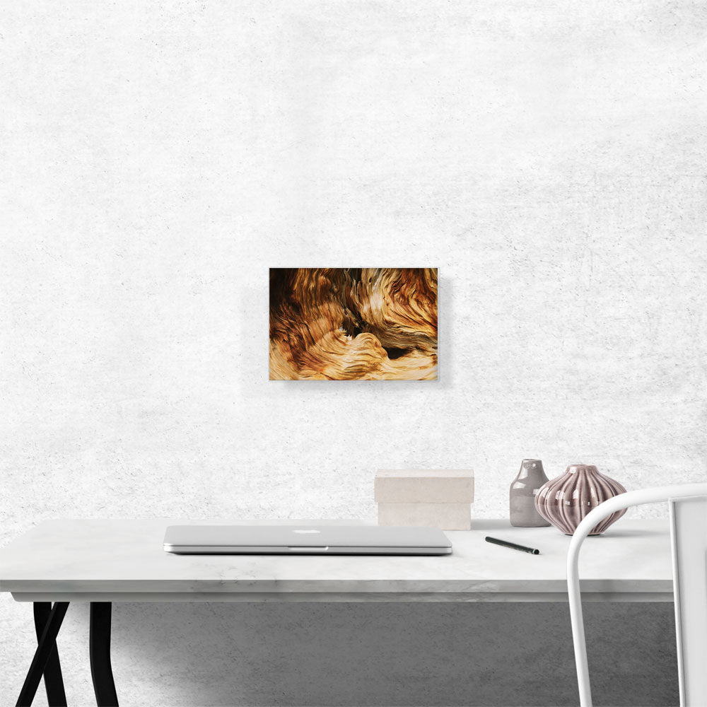 Wood Abstract Texture Home decor