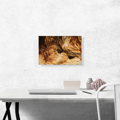 Wood Abstract Texture Home decor
