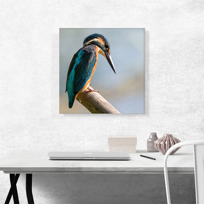 Woodpecker Home Decor