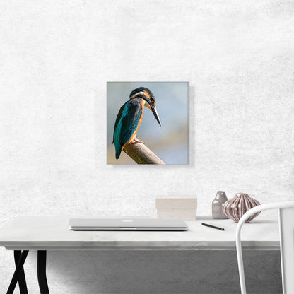 Woodpecker Home Decor