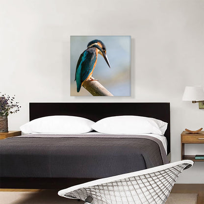 Woodpecker Home Decor
