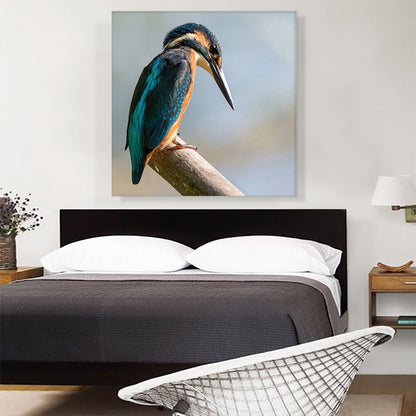 Woodpecker Home Decor