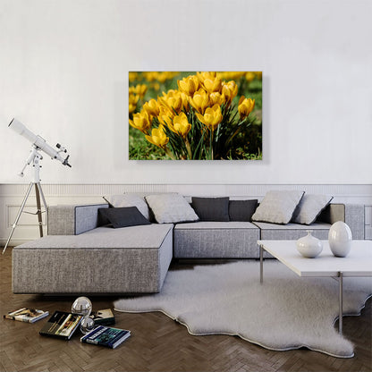 Yellow Crocus Flowers Home Decor