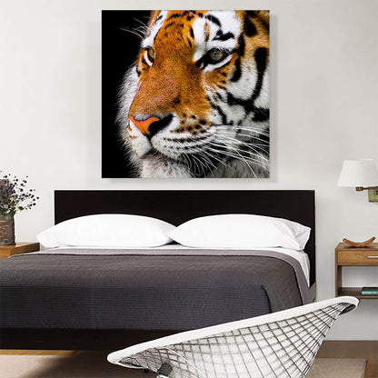 Bengal Tiger Zoo decor