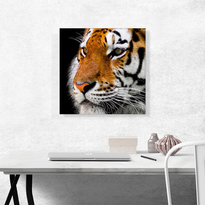 Bengal Tiger Zoo decor