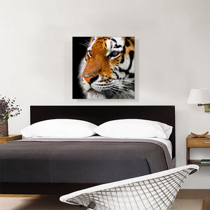 Bengal Tiger Zoo decor