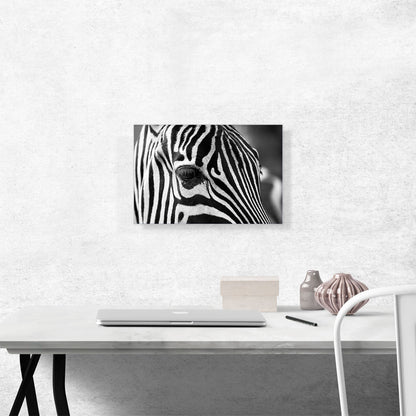 Zebra Face Home Decor