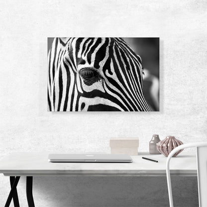 Zebra Face Home Decor
