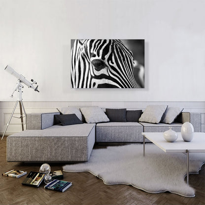 Zebra Face Home Decor