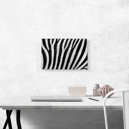 Zebra Stripe Pattern