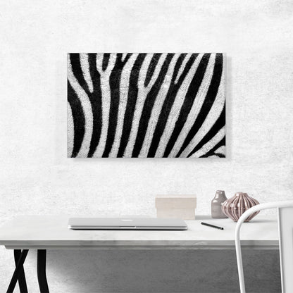 Zebra Stripe Pattern