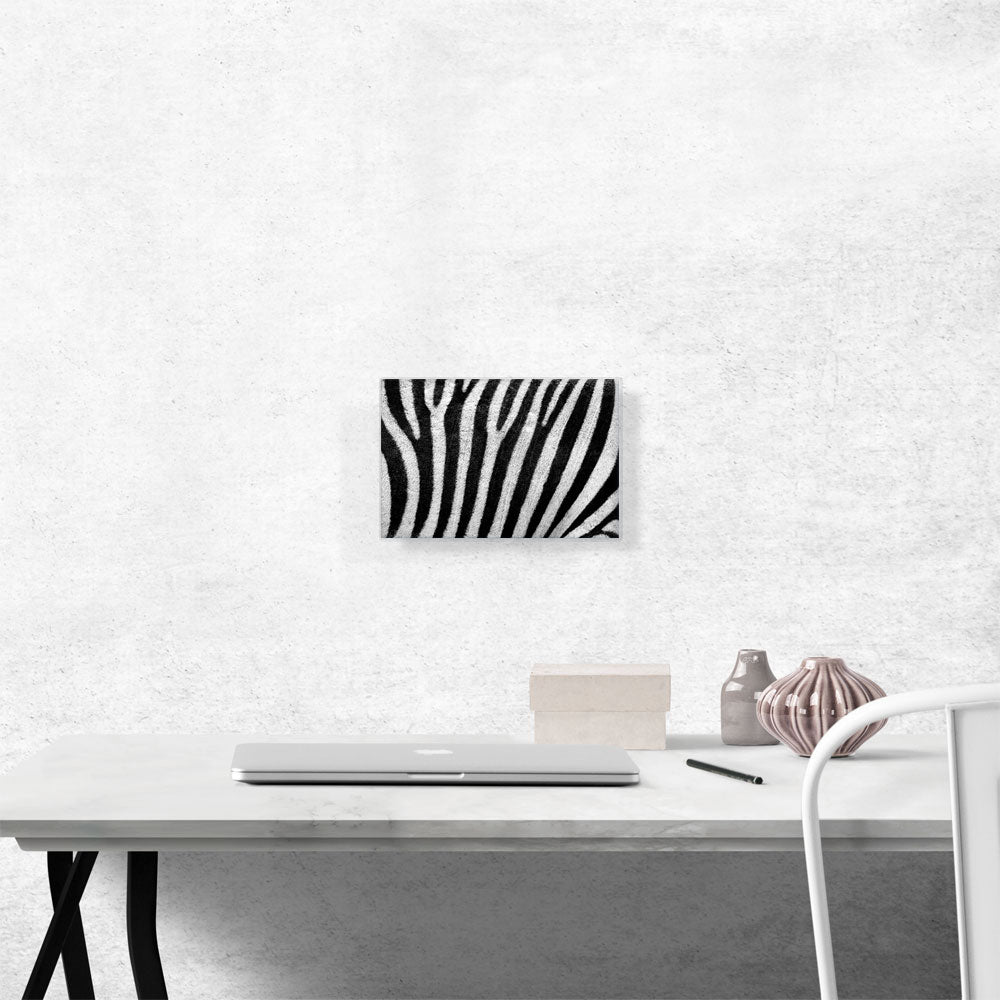 Zebra Stripe Pattern
