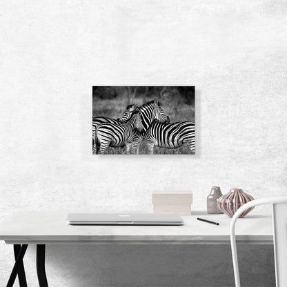 Zebras Home Decor Rectangle