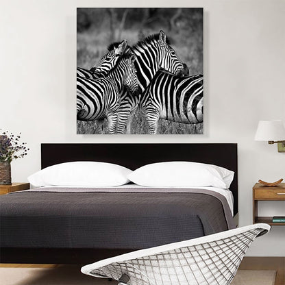 Zebras Home Decor Square