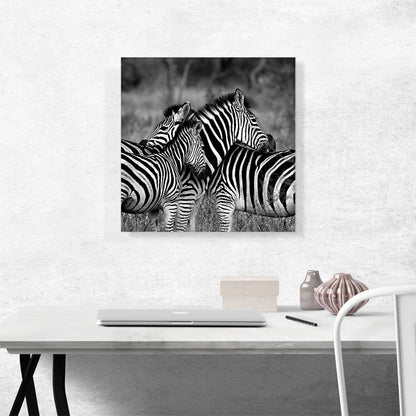 Zebras Home Decor Square