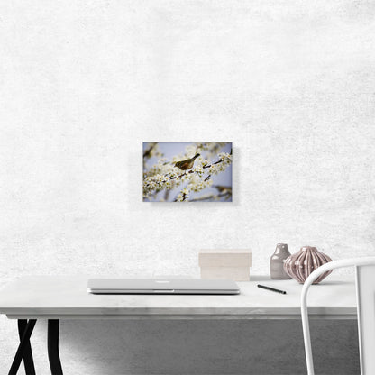 Bird And Blossom Flowers Home decor