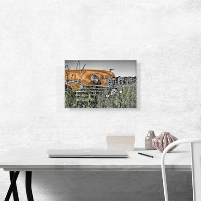 Oldtimer Car In Field Home decor