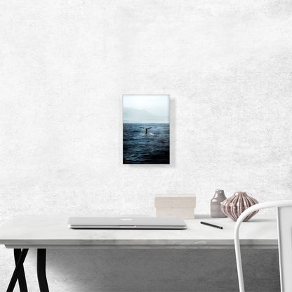 Whale Tail Ocean Waves Mountains in Fog