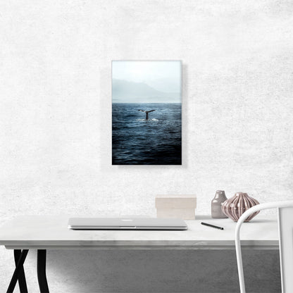 Whale Tail Ocean Waves Mountains in Fog