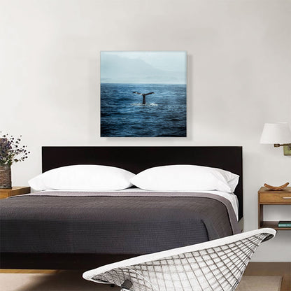 Whale Tail Ocean Waves