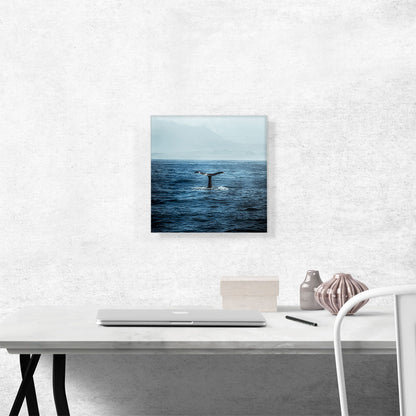 Whale Tail Ocean Waves