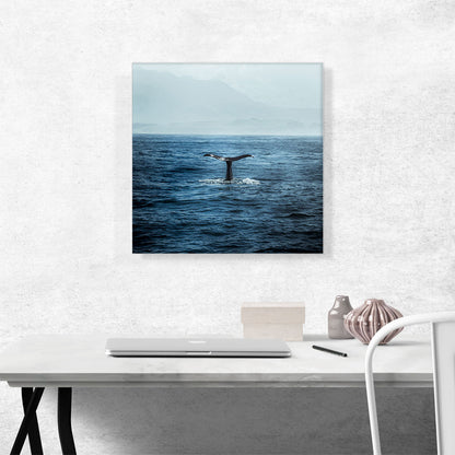 Whale Tail Ocean Waves