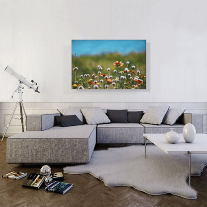 Dandelions Field and Orange Flowers