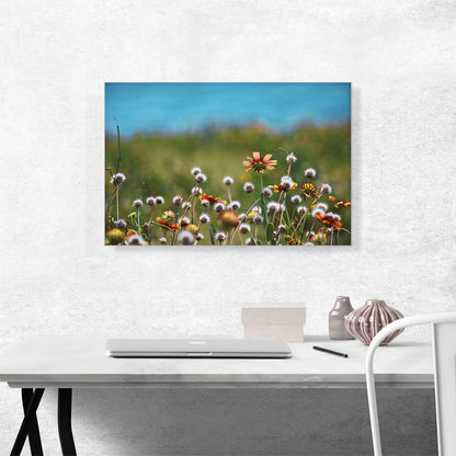 Dandelions Field and Orange Flowers