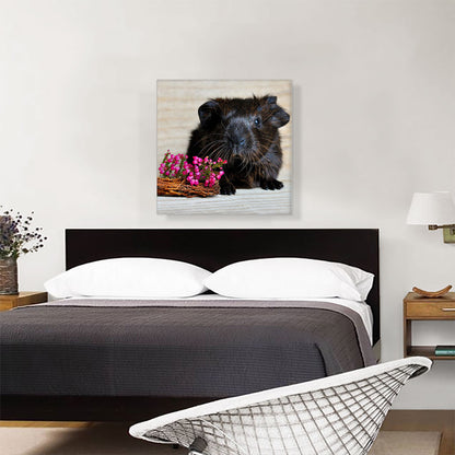 Black Guinea Pig Home decor