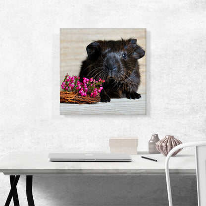 Black Guinea Pig Home decor