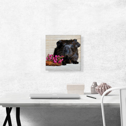 Black Guinea Pig Home decor