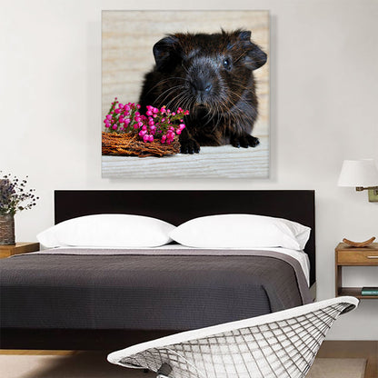 Black Guinea Pig Home decor