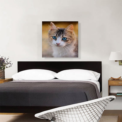 Blue Eyes Cat Home decor