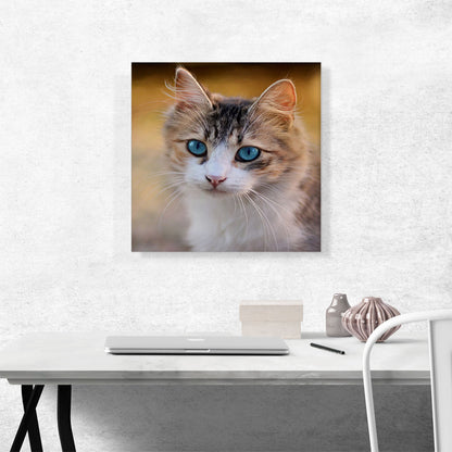 Blue Eyes Cat Home decor
