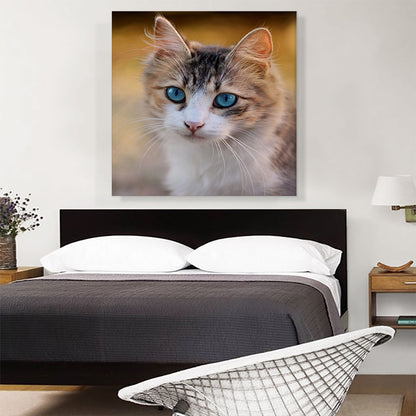 Blue Eyes Cat Home decor
