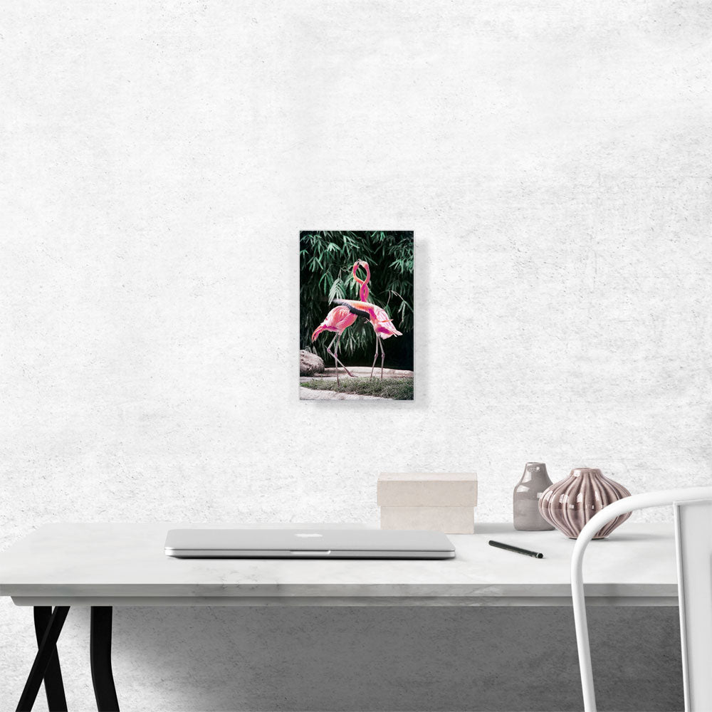 Flamingos in Love Intertwine Necks