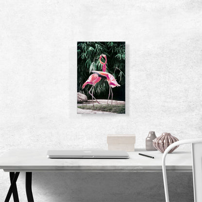 Flamingos in Love Intertwine Necks