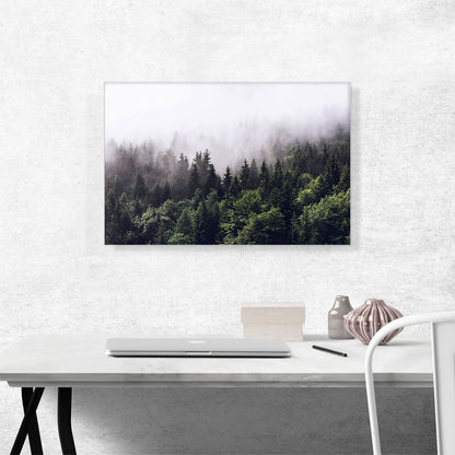 Foggy Forest Woods Canopy