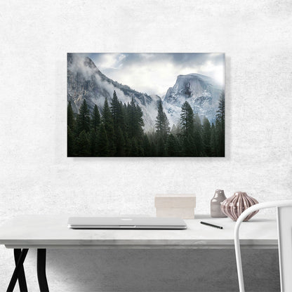 Foggy Forest Under Mountains