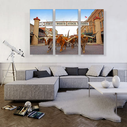 Fort Worth Longhorn Steers Texas Bulls Stock Yards
