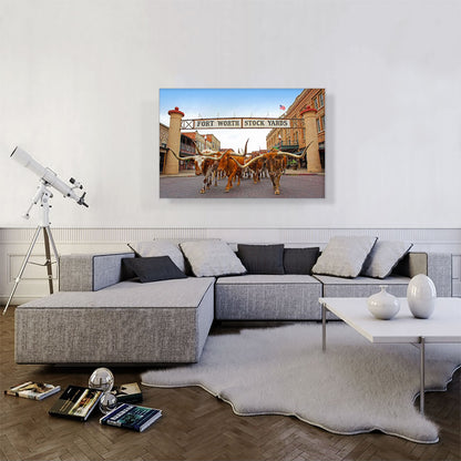 Fort Worth Longhorn Steers Texas Bulls Stock Yards
