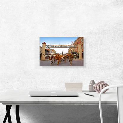 Fort Worth Longhorn Steers Texas Bulls Stock Yards
