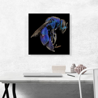 Blue Wasp Insect Home decor
