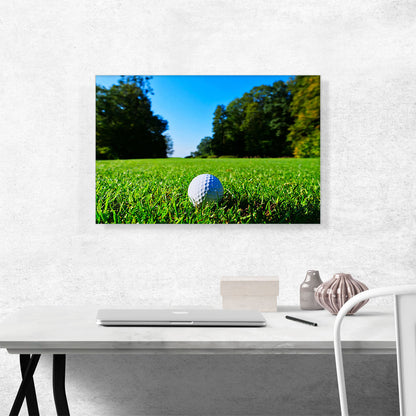 Golf Ball in Grass