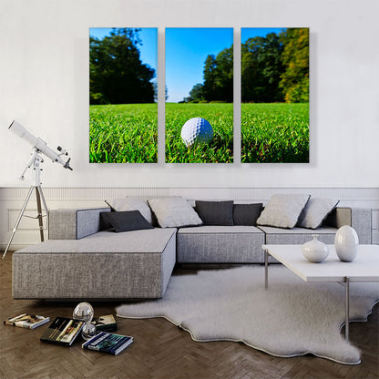 Golf Ball in Grass