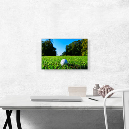Golf Ball in Grass