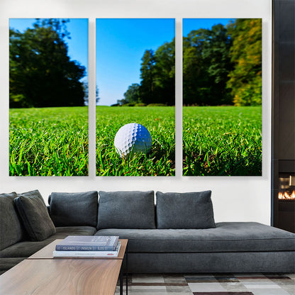 Golf Ball in Grass
