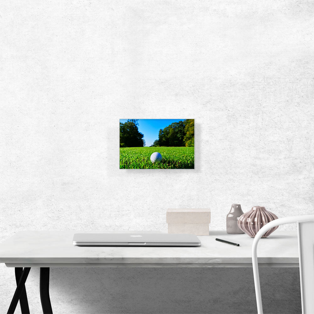Golf Ball in Grass