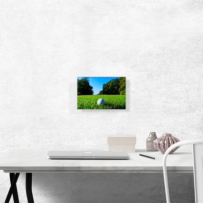 Golf Ball in Grass