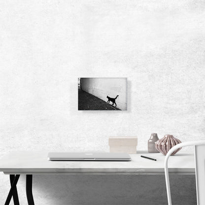 Black Graffiti Cat on White Wall